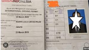 international driving permit