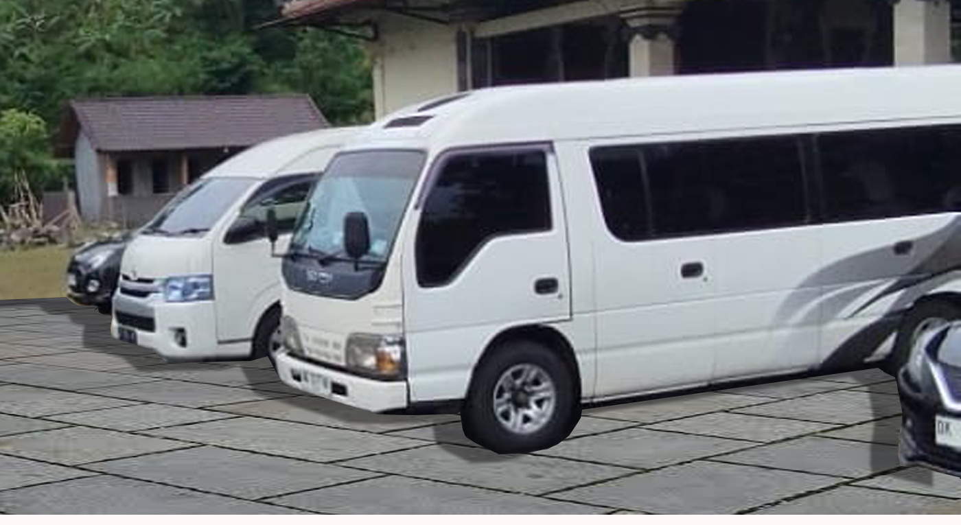 Log elf for rent in Bali