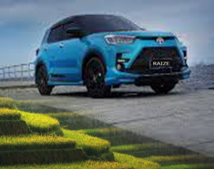 Toyota Raize for rent in Bali